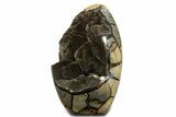 Free-Standing, Polished Septarian Geode - Black Crystals #344446-2